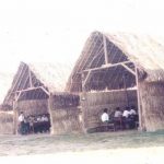 377932_302804793088867_538672199_n