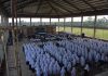 Pengarahan Tahun Ajaran Baru, Menguatkan Kembali Akar-Akar Kemandirian Pondok