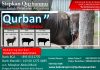 Laporan Qurban 1438 H & Distribusi Qurban ke Daerah-Daerah Kabupaten Jember.
