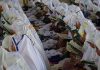 Memancarkan Cahaya dengan Sholat Subuh Berjamaah