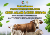 Kisah Nabi Ibrahim dan Ismail dalam Menjalankan Qurban
