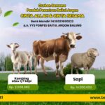 Mari Berqurban bersama Pondok Pesantren Baitul Arqom Jember